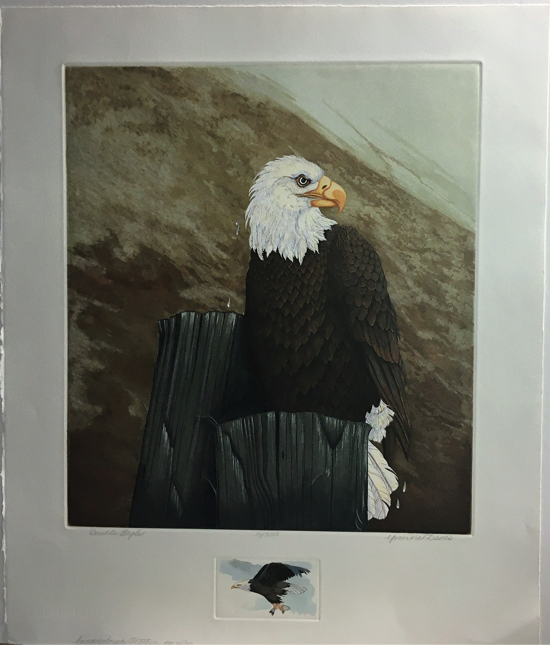 Double Eagle Hand colored limited edition Intaglio print by Yvonne Davis